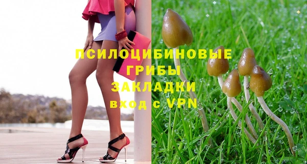 гашик Абинск