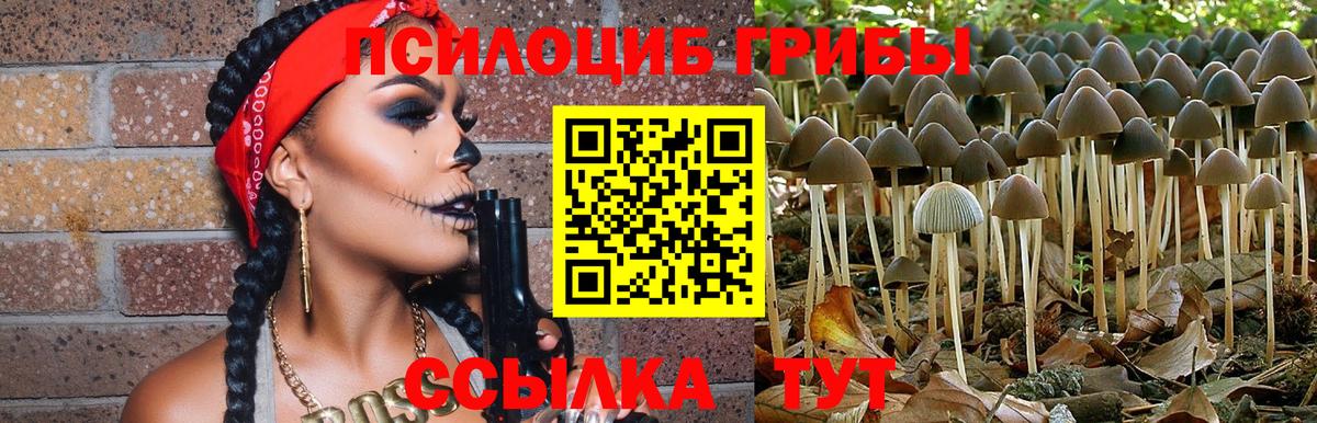 Липецк  Галлюциногенные грибы MAGIC MUSHROOMS  Вход с VPN  Псилоцибиновые грибы Psilocybine cubensis 